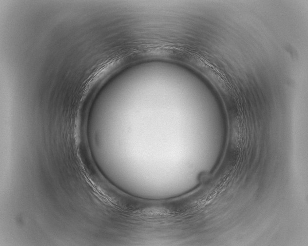 X0000116050578200911201408