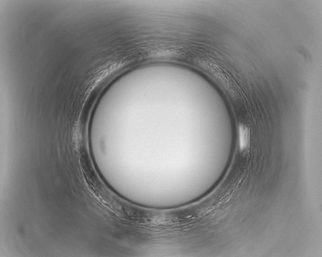 X0000116050579200911201408