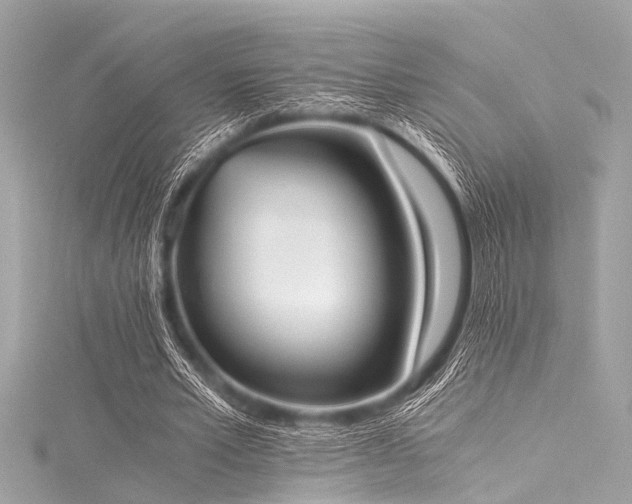X0000116050581200911201408
