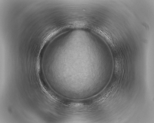 X0000116050582200911201408