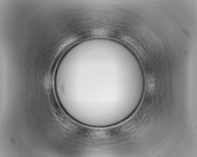 X0000116050583200911201408