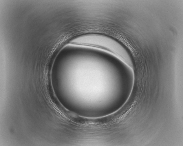 X0000116050585200911201408