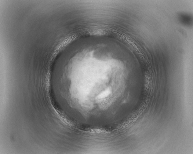 X0000116050586200911201408