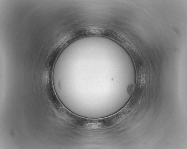 X0000116050595200911201408
