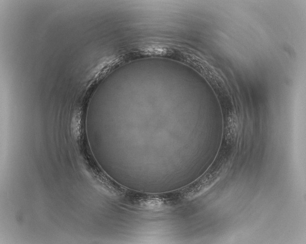 X0000116050600200911201408