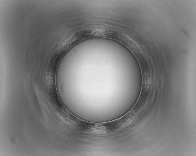 X0000116050603200911201408
