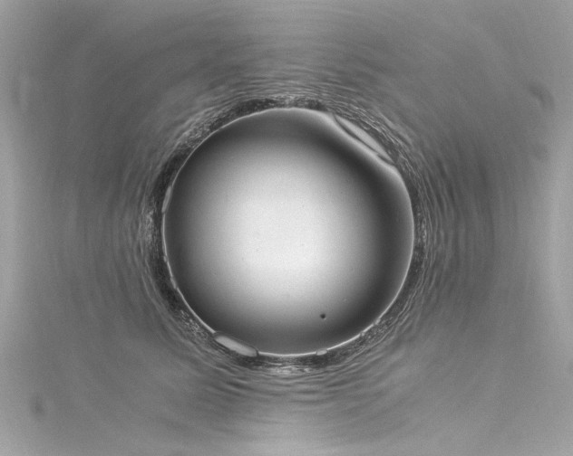 X0000116050611200911201408