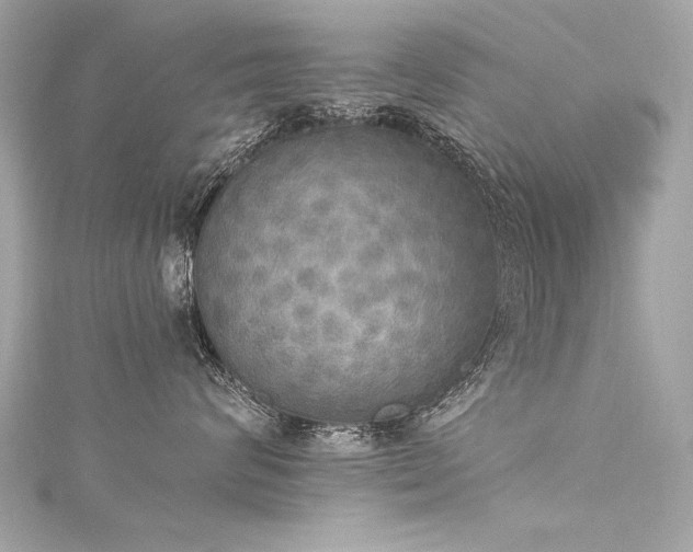 X0000116050624200911201408