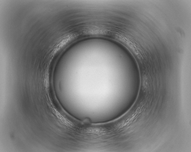 X0000116050629200911201407