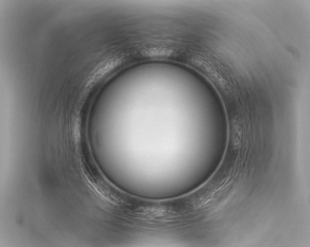 X0000116050631200911201407
