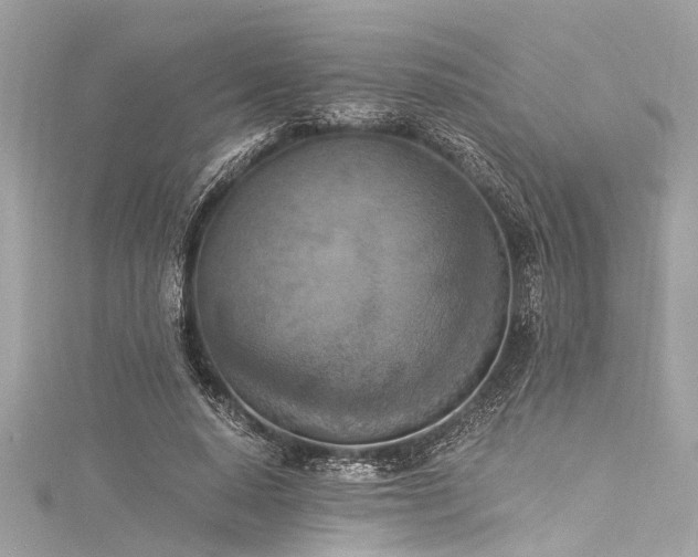 X0000116050640200911201407