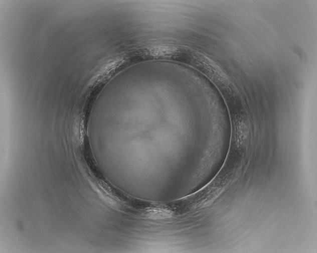 X0000116050644200911201407