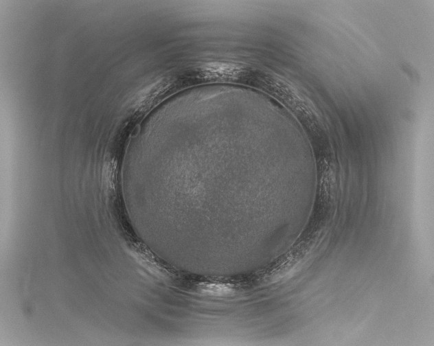 X0000116050649200911201407
