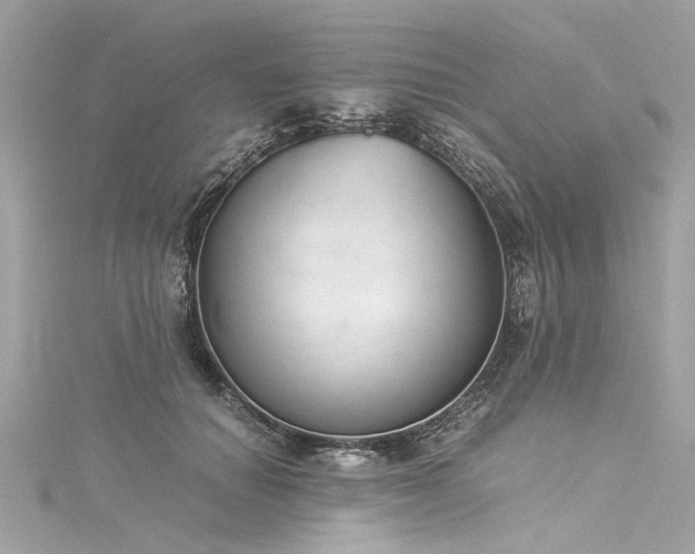 X0000116050654200911201407