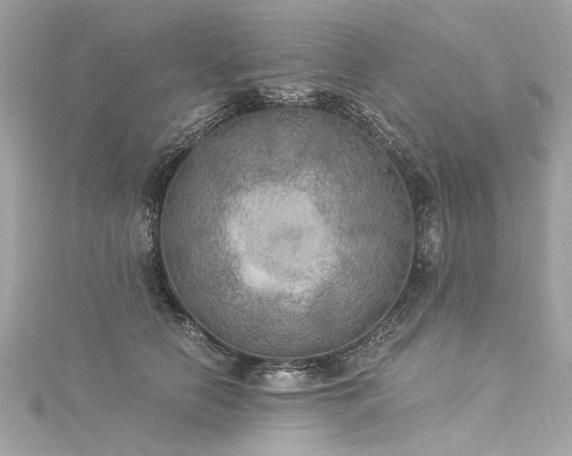 X0000116050658200911201407