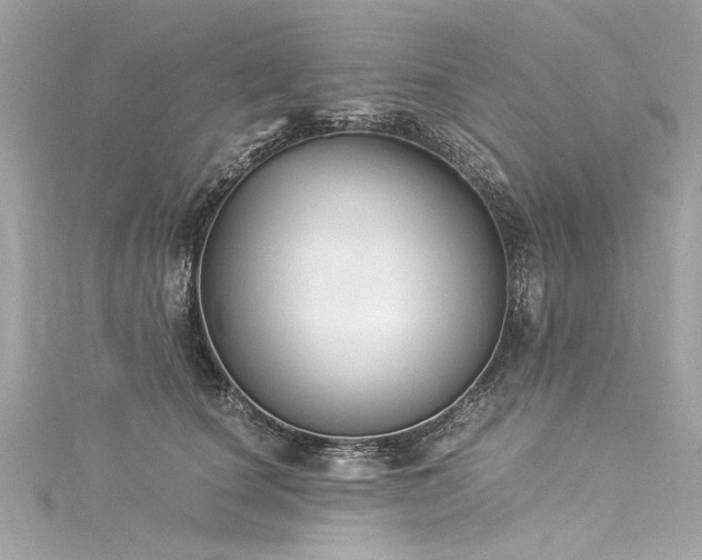 X0000116050660200911201407