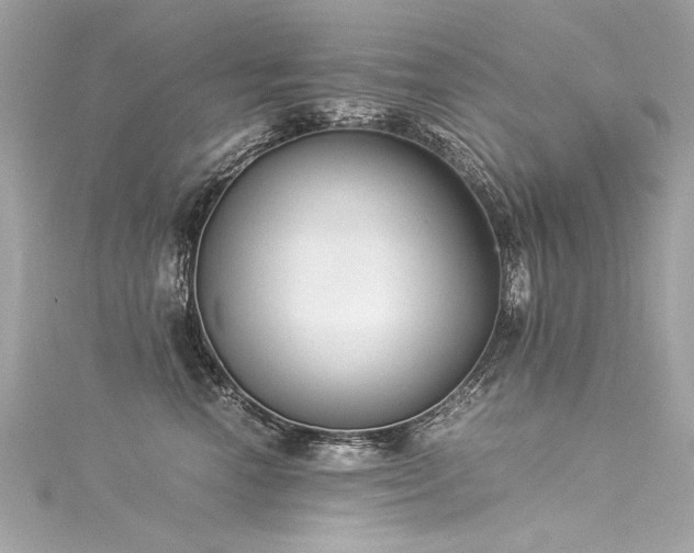 X0000116050666200911201407