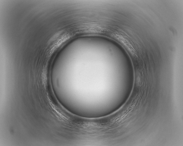 X0000116050677200911201407