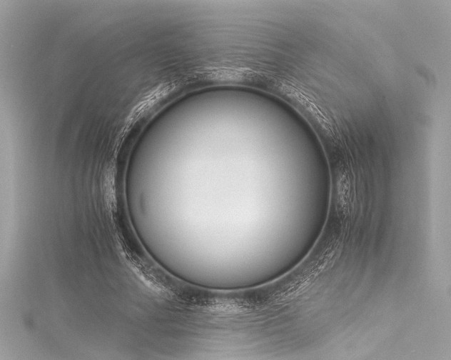 X0000116050682200911201407