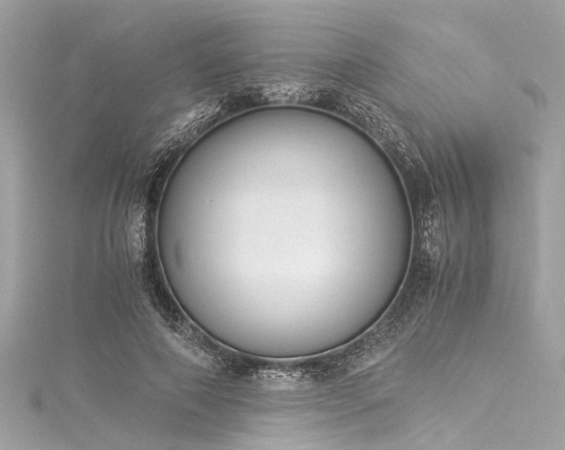 X0000116050690200911201407