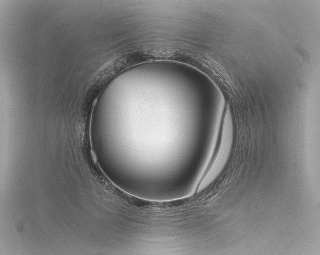 X0000116050697200911201406