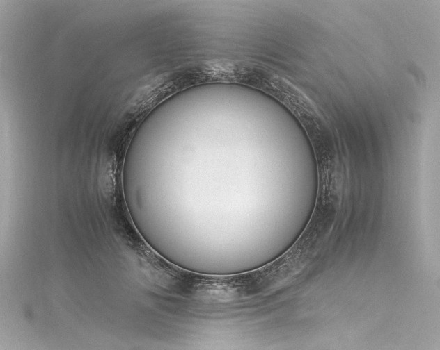 X0000116050702200911201406