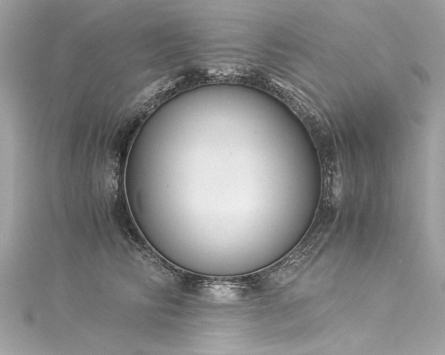 X0000116050710200911201406