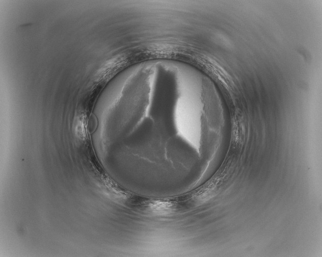 X0000116050718200911201406