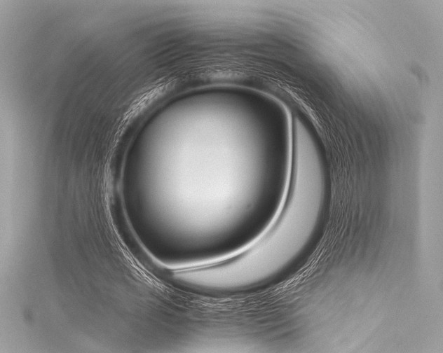 X0000116050725200911201406