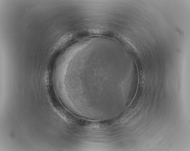 X0000116050738200911201406