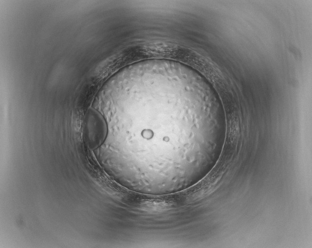 X0000116050749200911201406