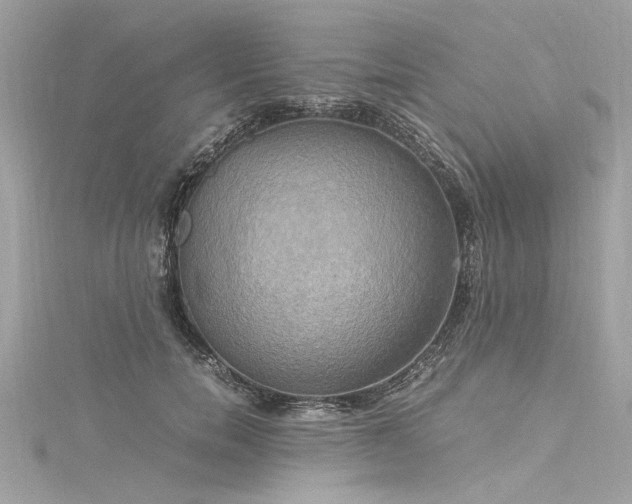 X0000116050750200911201406