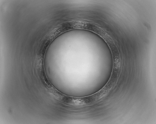 X0000116050753200911201406