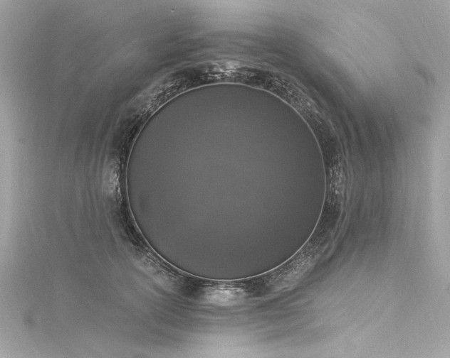 X0000116050754200911201406