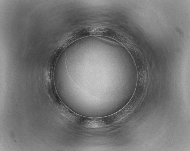 X0000116050755200911201406