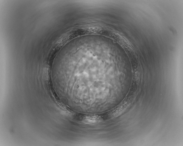 X0000116050757200911201406