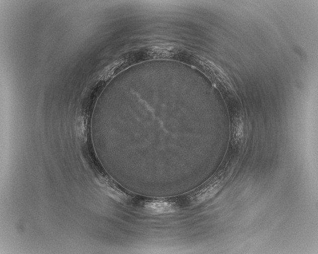 X0000116050759200911201406