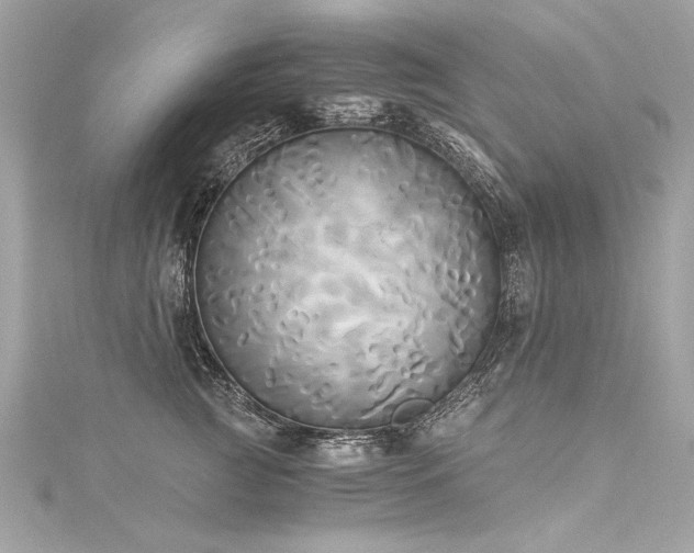 X0000116050761200911201406