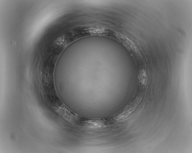 X0000116050763200911201406