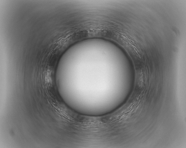 X0000116050770200911201406