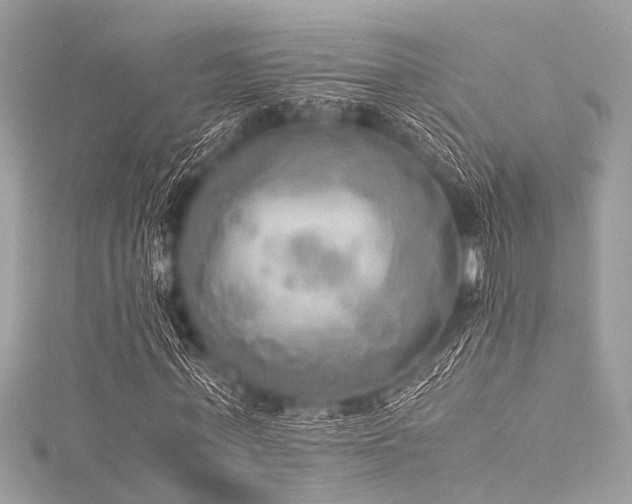 X0000116050771200911201406