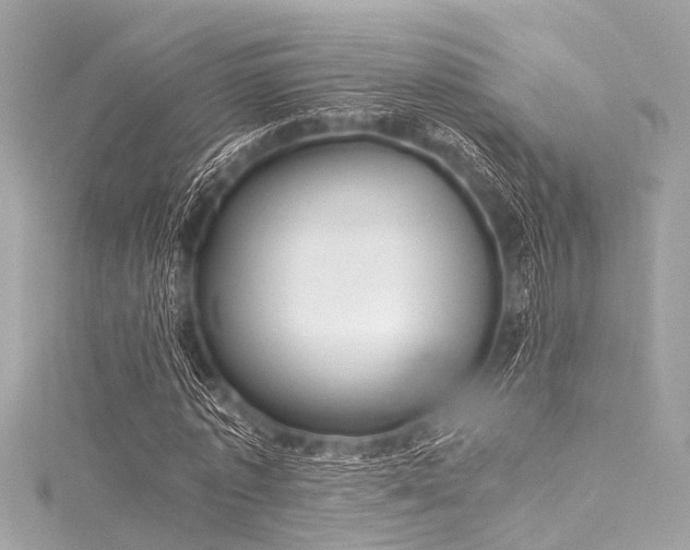 X0000116050773200911201405