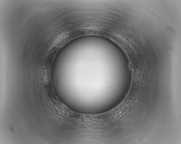 X0000116050774200911201405