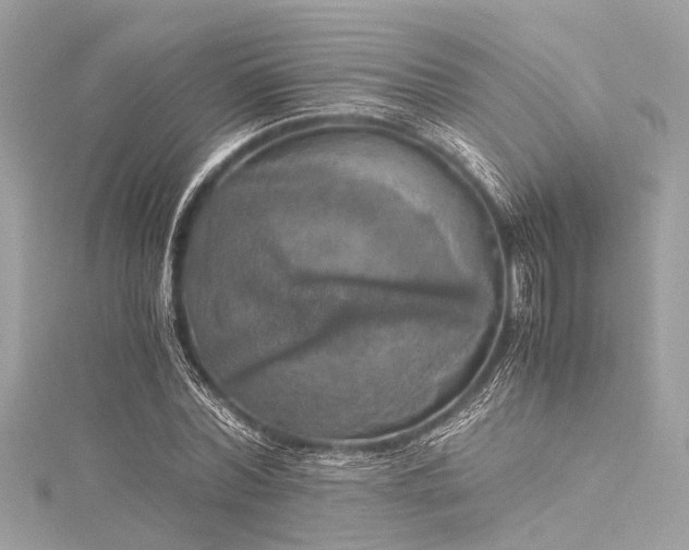 X0000116050780200911201405