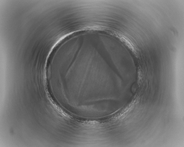 X0000116050784200911201405