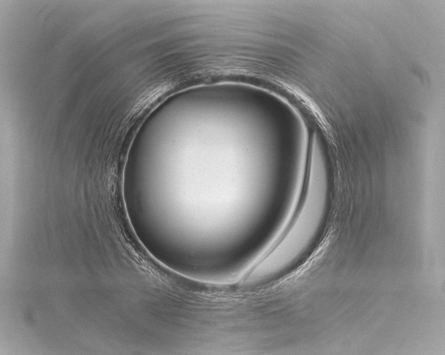 X0000116050785200911201405