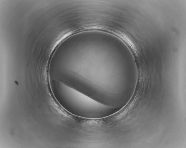 X0000116050806200911201405
