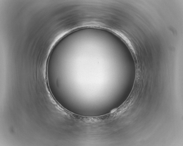 X0000116050815200911201405
