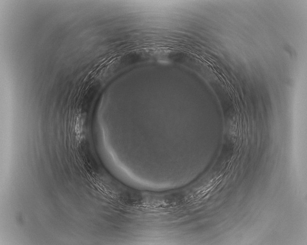 X0000116050818200911201404