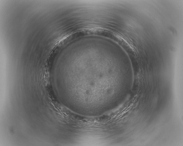 X0000116050822200911201404